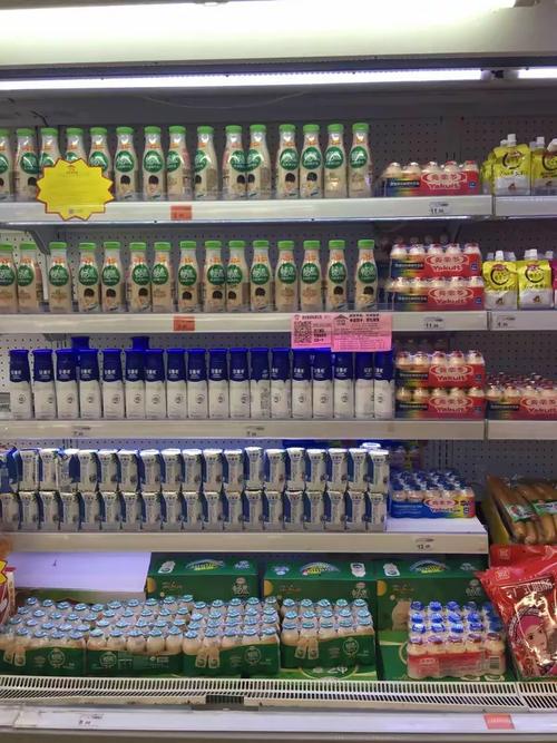 黄冈中百仓储宝塔店低温奶陈列