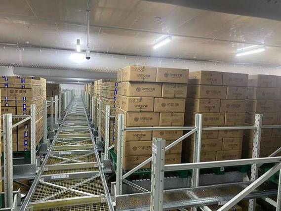 冷库货架厂家梳理 冷链仓储场景解决方案